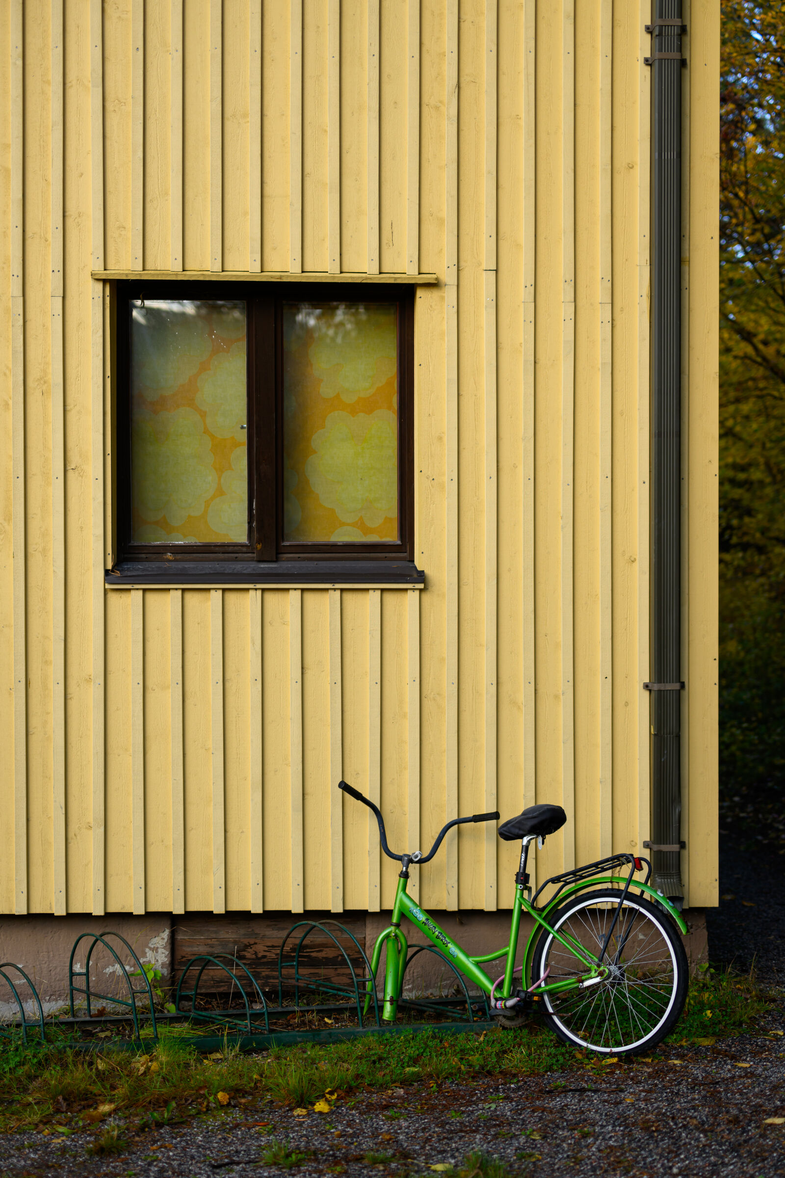 Nikon Z8 sample photo. Yellow house and a photography