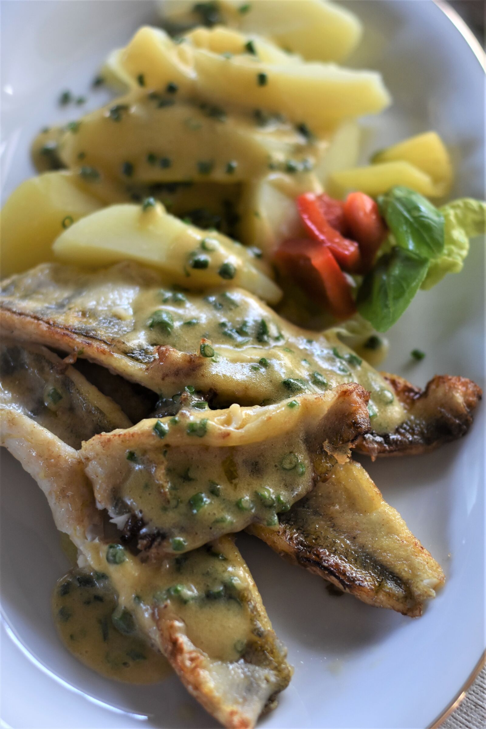 Nikon D7200 sample photo. Fish, pike perch, zander photography