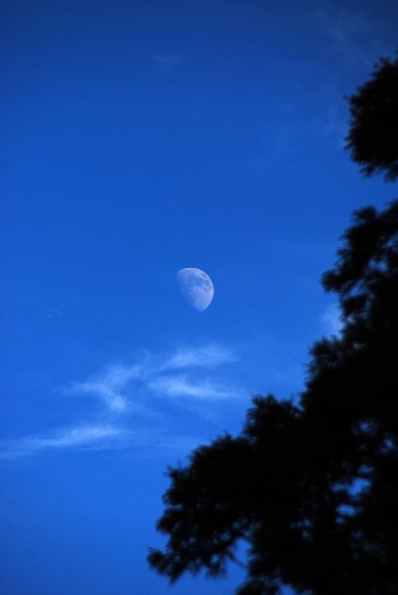Nikon D40X sample photo. Moon, sky, blue photography