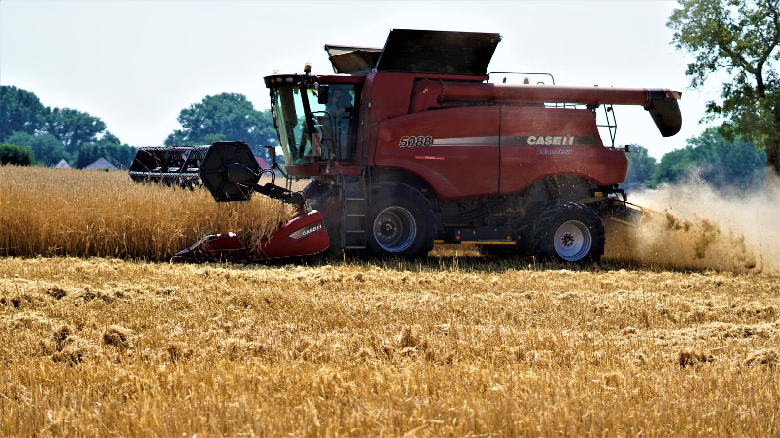Sony a6000 sample photo. Harvest, summer, background photography