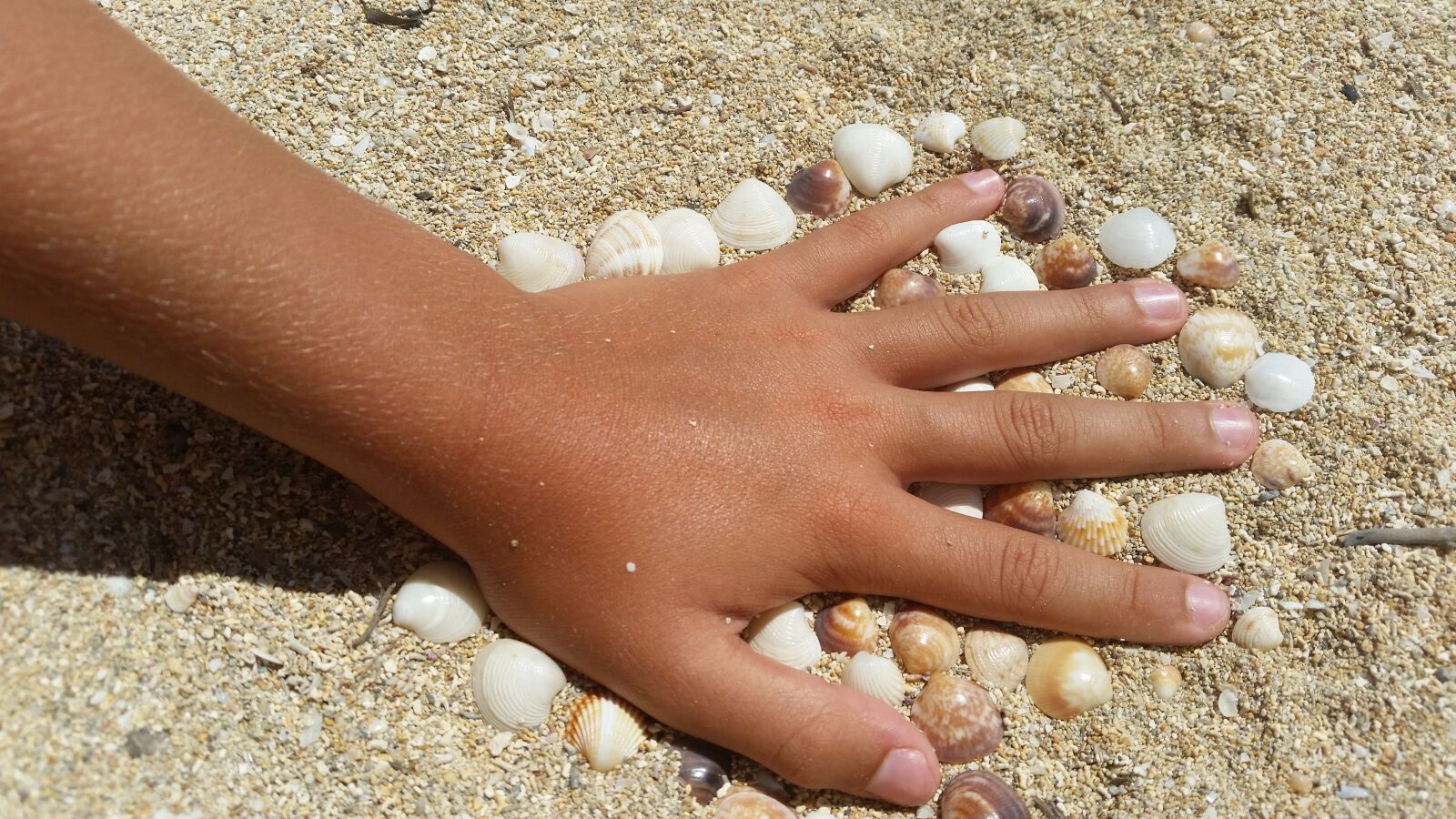 Samsung Galaxy S5 sample photo. Hand, child, mussels photography