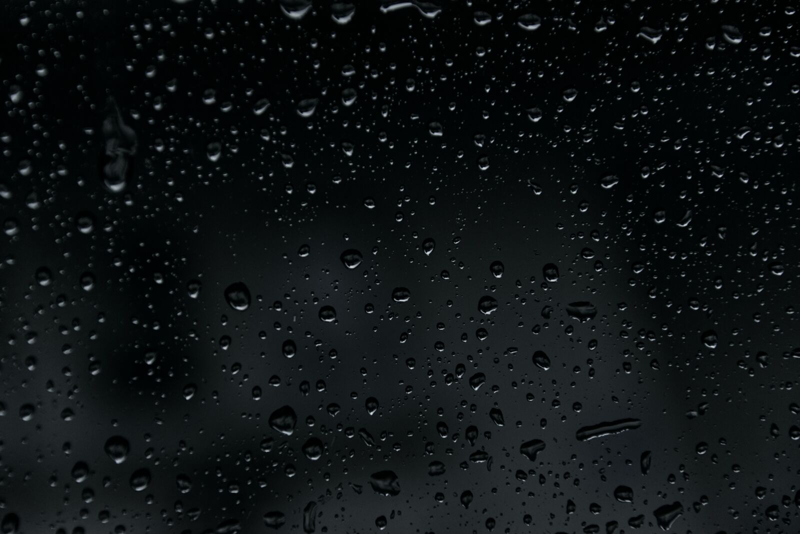 Nikon D5300 sample photo. Rain, wet, drip photography