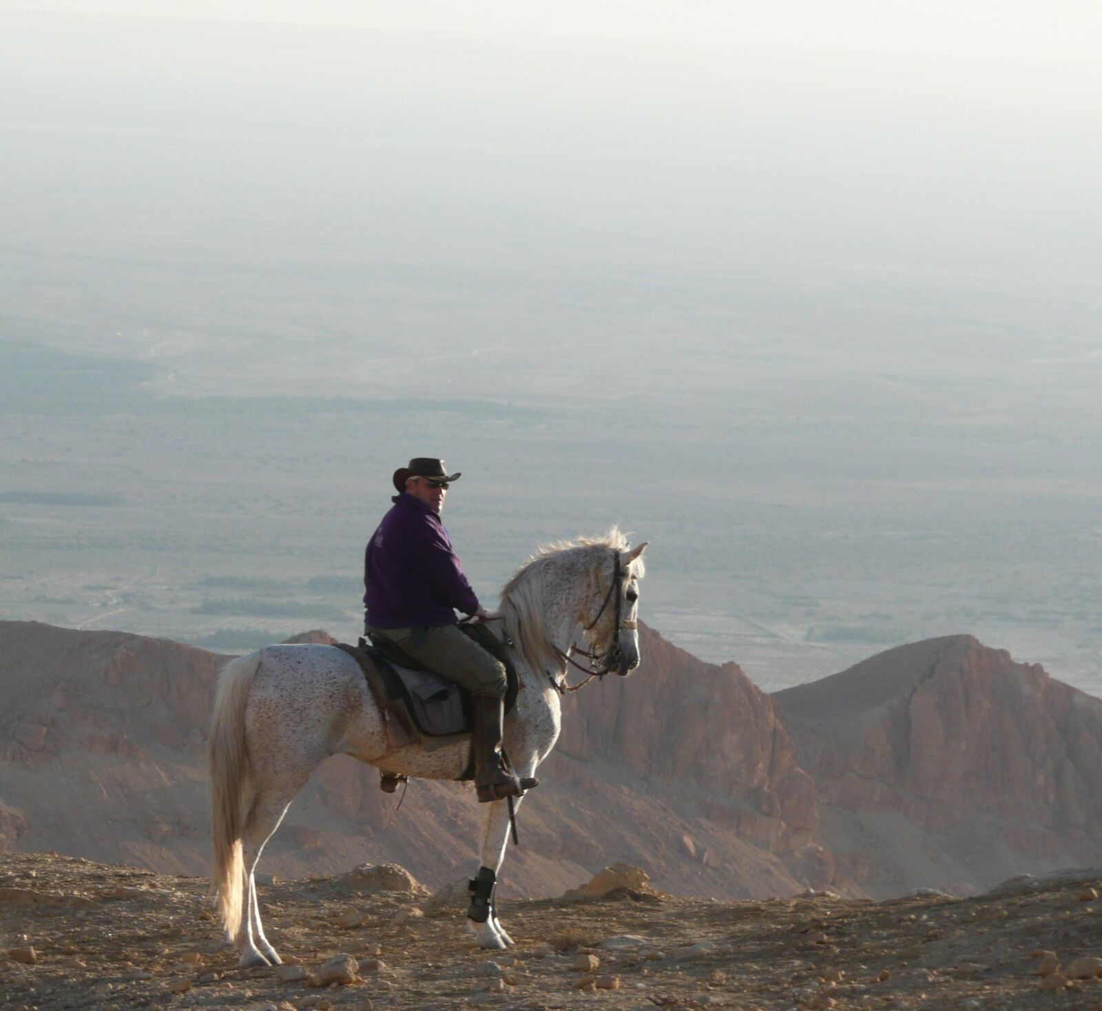 Panasonic DMC-TZ3 sample photo. Atlas, tunisia, horse photography