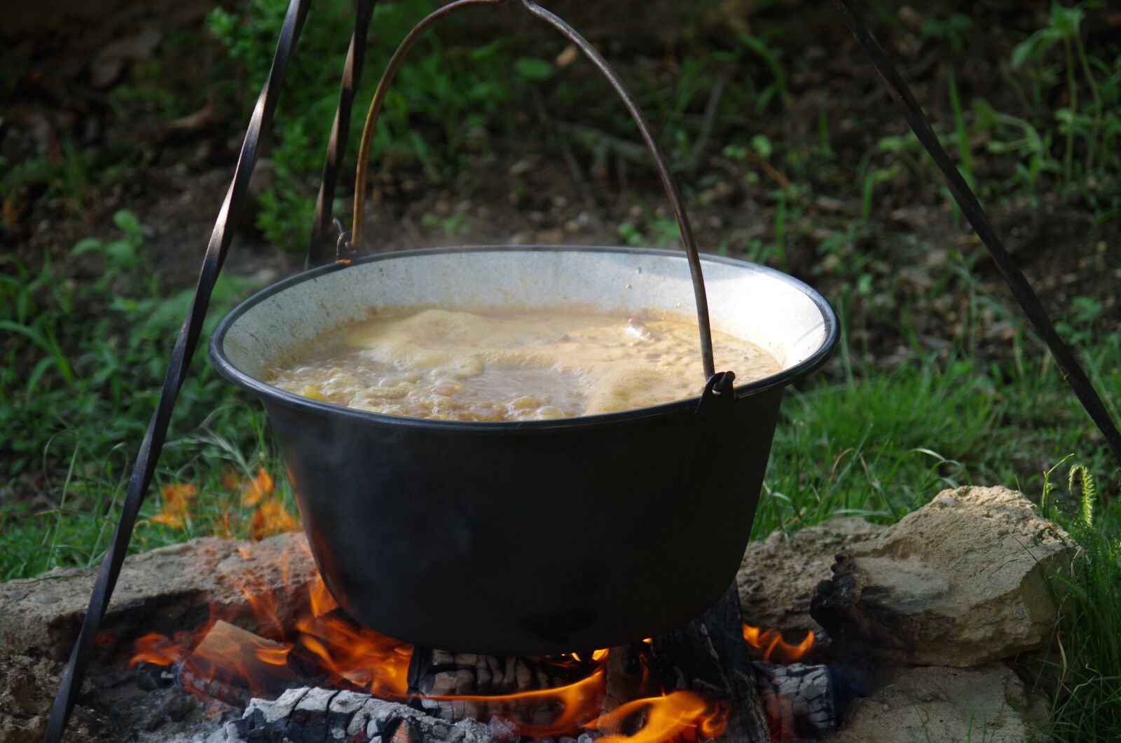 Pentax K-500 sample photo. Stew, soup, picnic photography