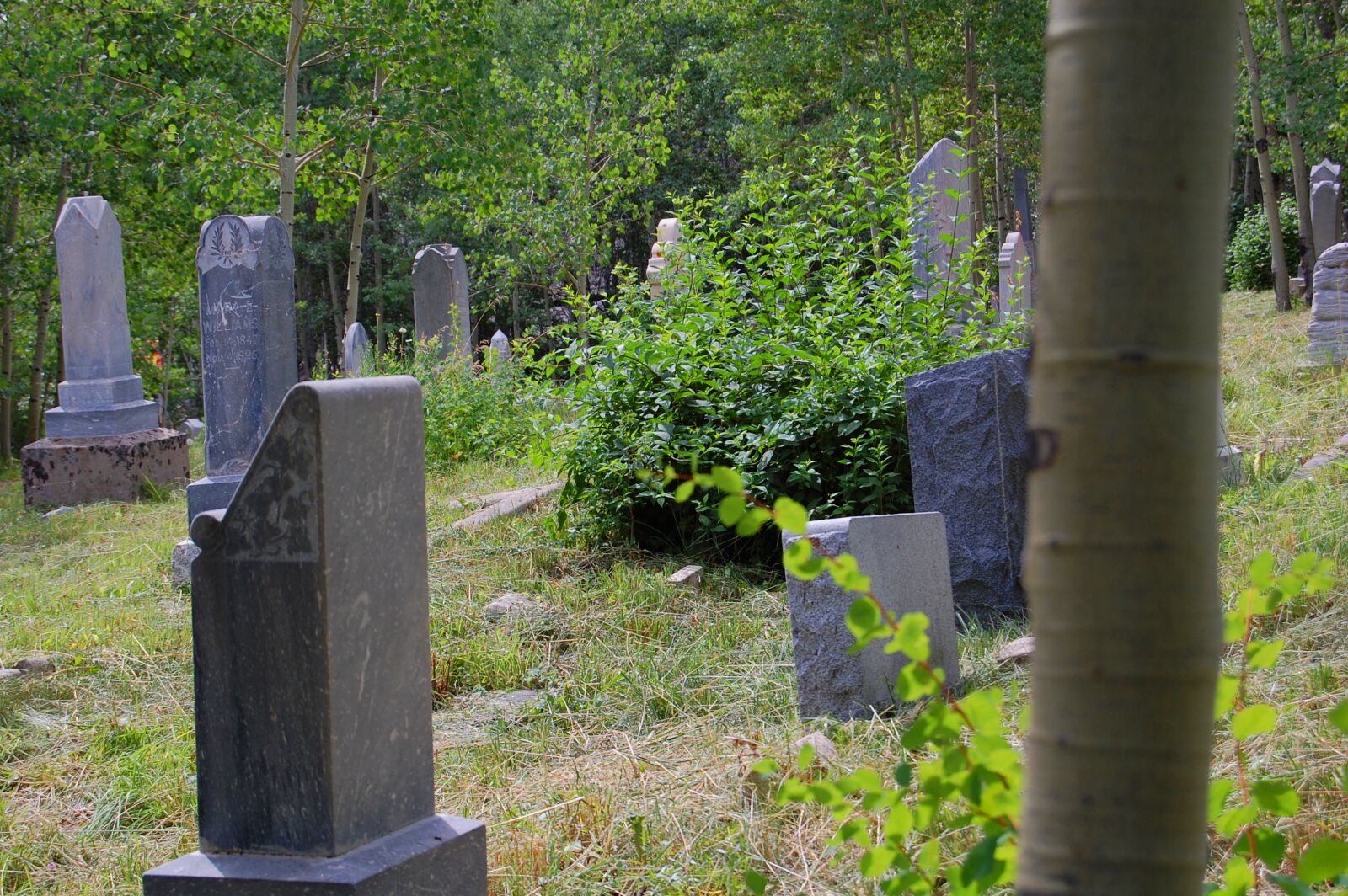 Nikon D40 sample photo. Cemetery, graveyard, gravestone photography