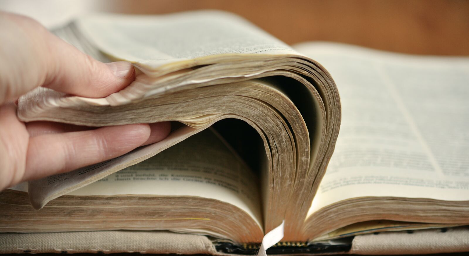 Nikon D5200 sample photo. Book pages, bible, browse photography