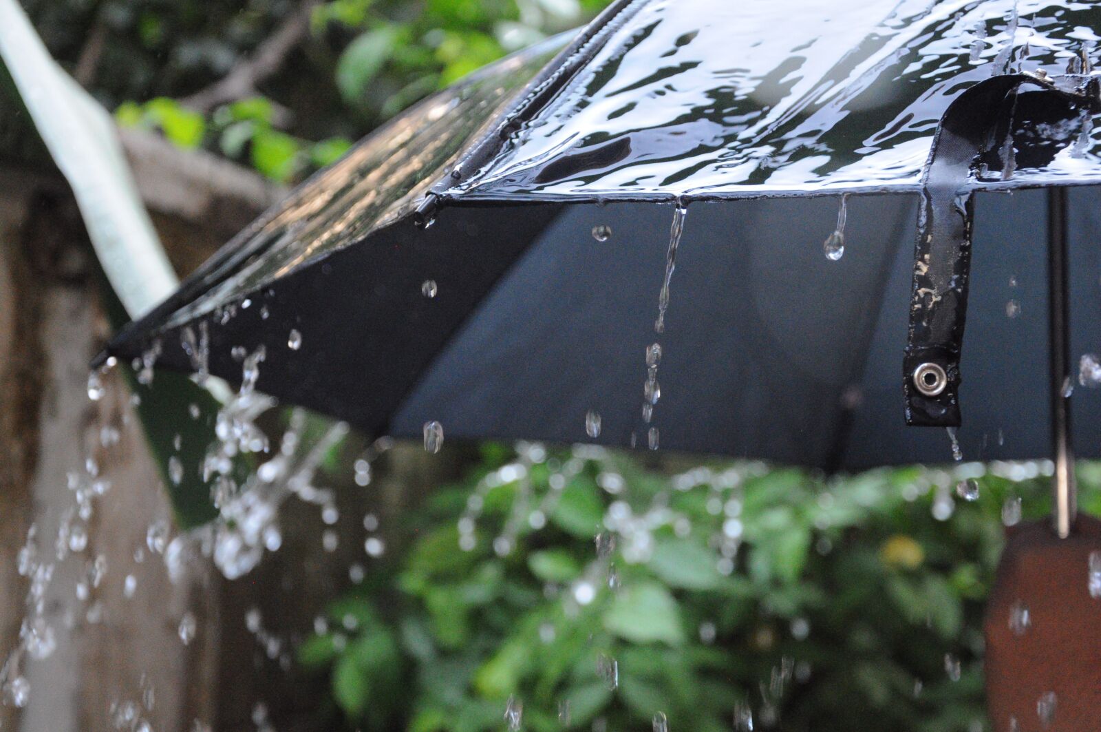 Nikon D90 sample photo. Water, umbrella photography