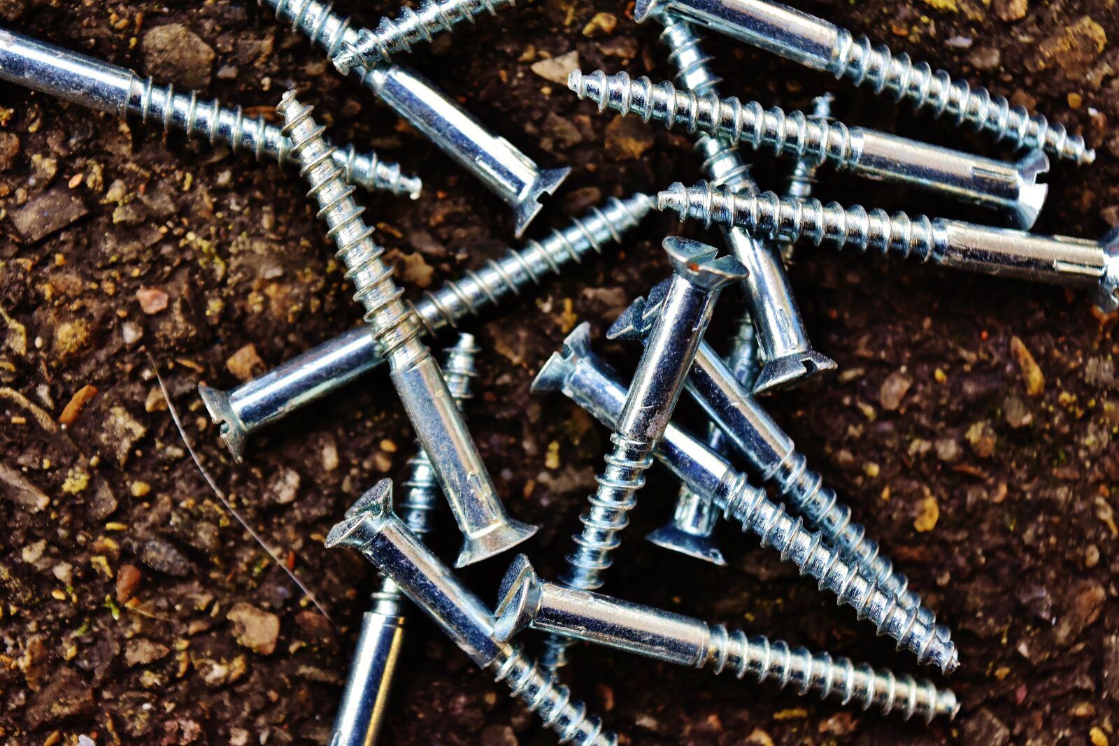 Nikon D7200 sample photo. Screw, slotted screws, silver photography