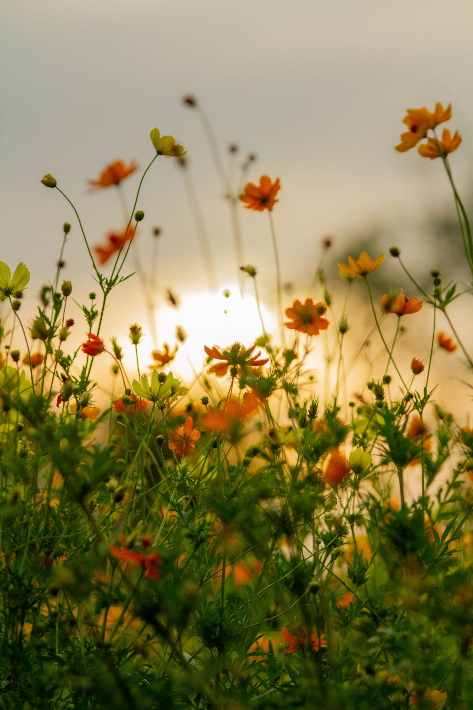Canon EOS 7D sample photo