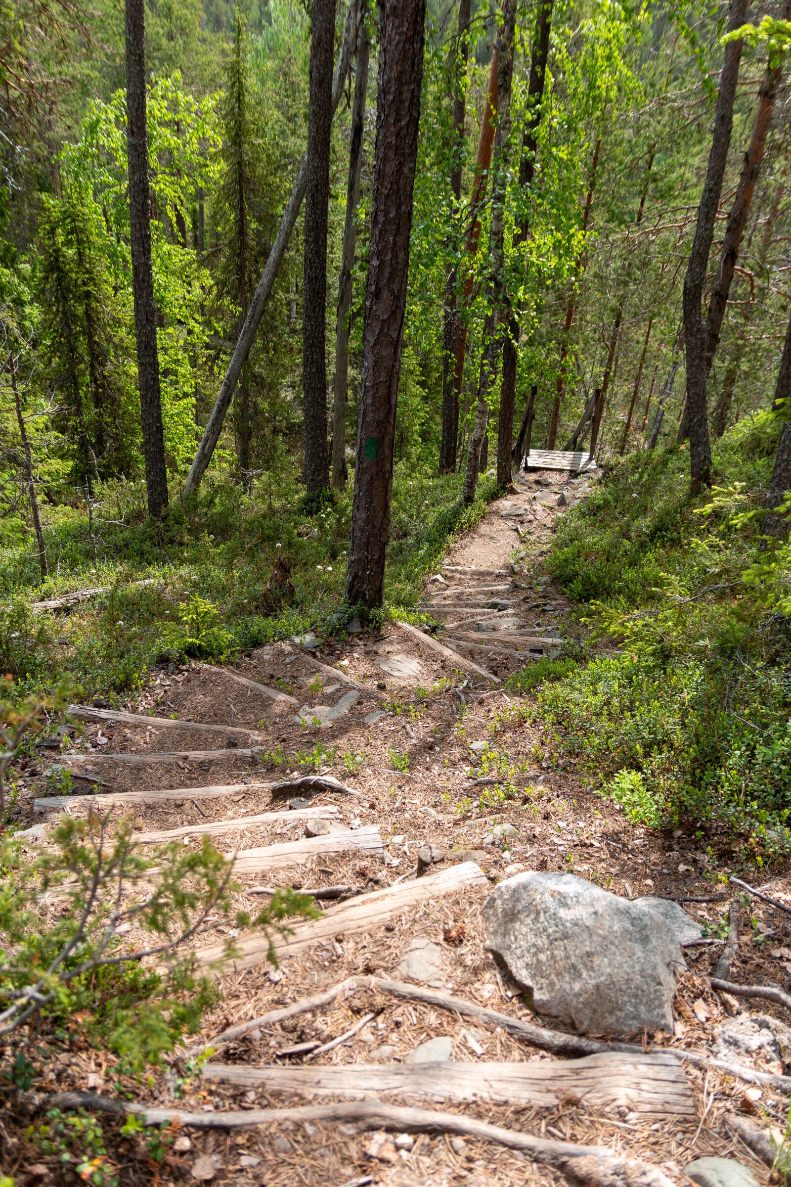 Canon EOS 70D sample photo. Path, summer, hiking photography