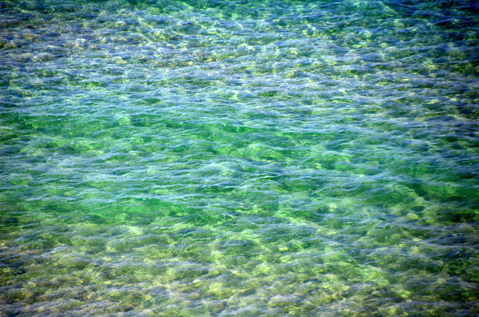 Nikon D5100 sample photo. Desktop, nature, summer photography