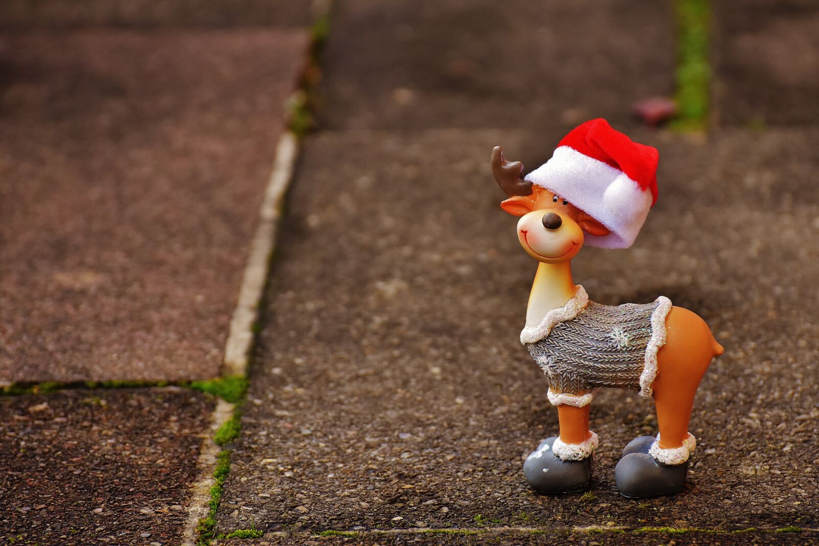 Nikon D7200 sample photo. Moose, christmas, christmas motif photography