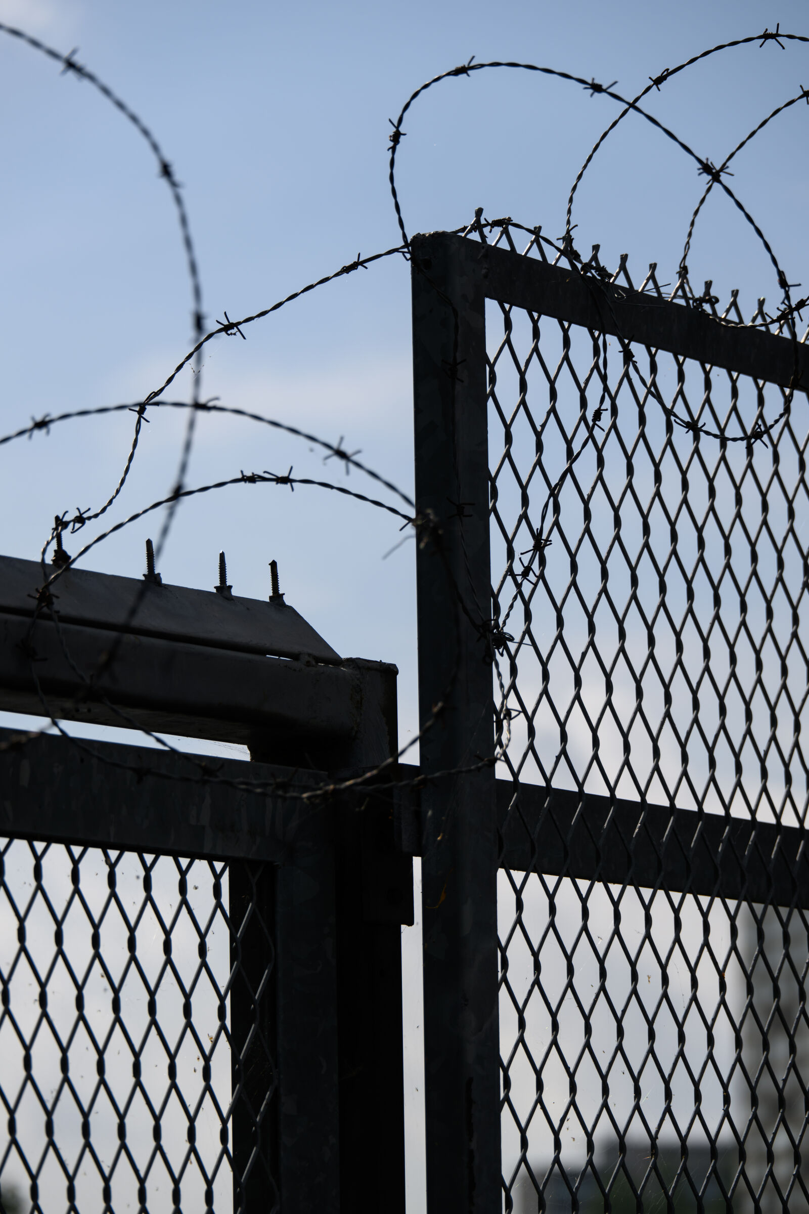 Nikon Z8 sample photo. Barbed wire fence photography