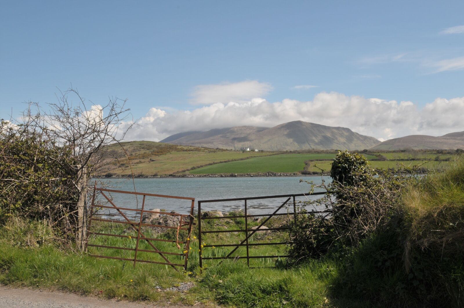 Nikon D300 sample photo. Barrier, field, cloud photography