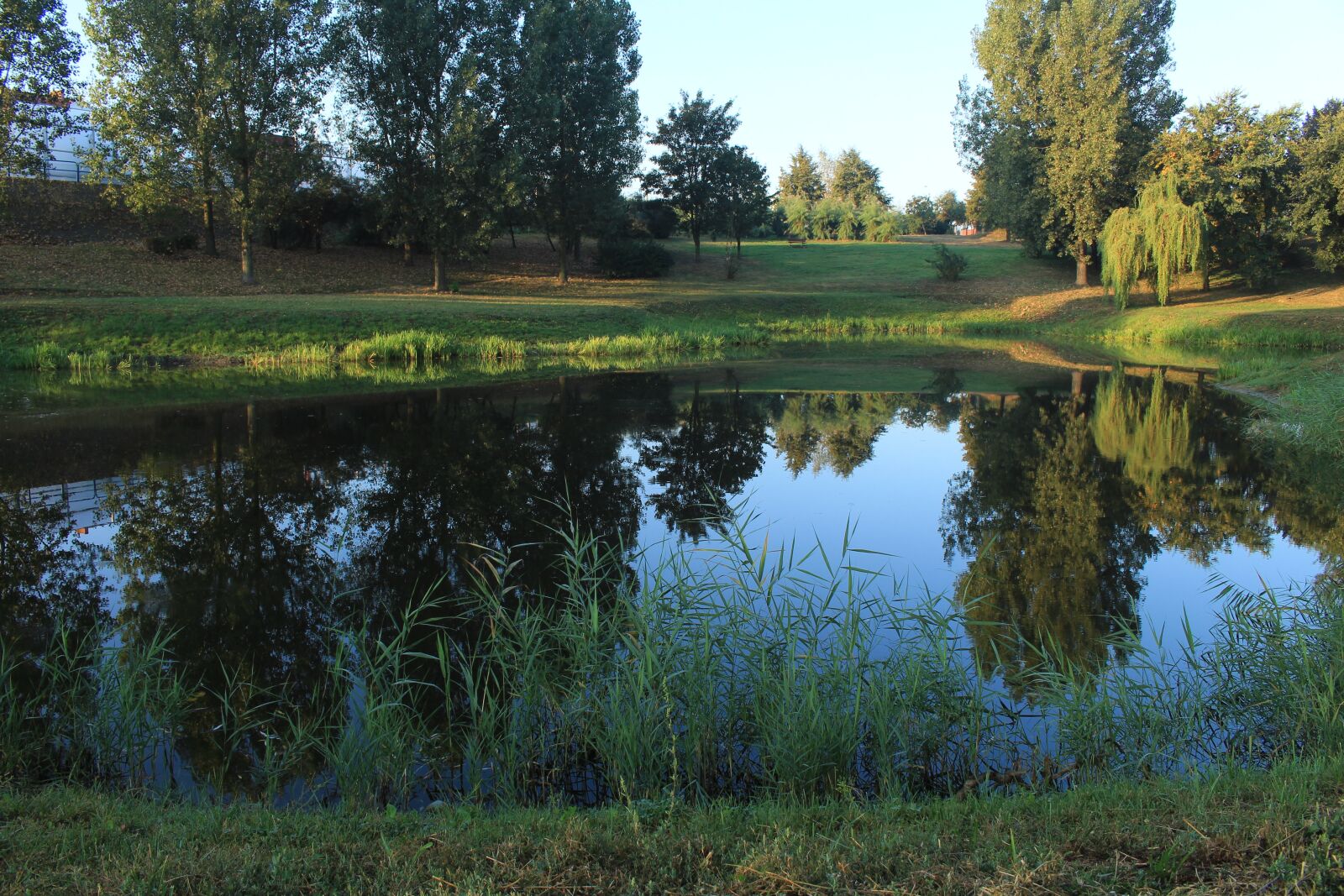 Canon EOS 700D (EOS Rebel T5i / EOS Kiss X7i) sample photo. Water, pond, park photography