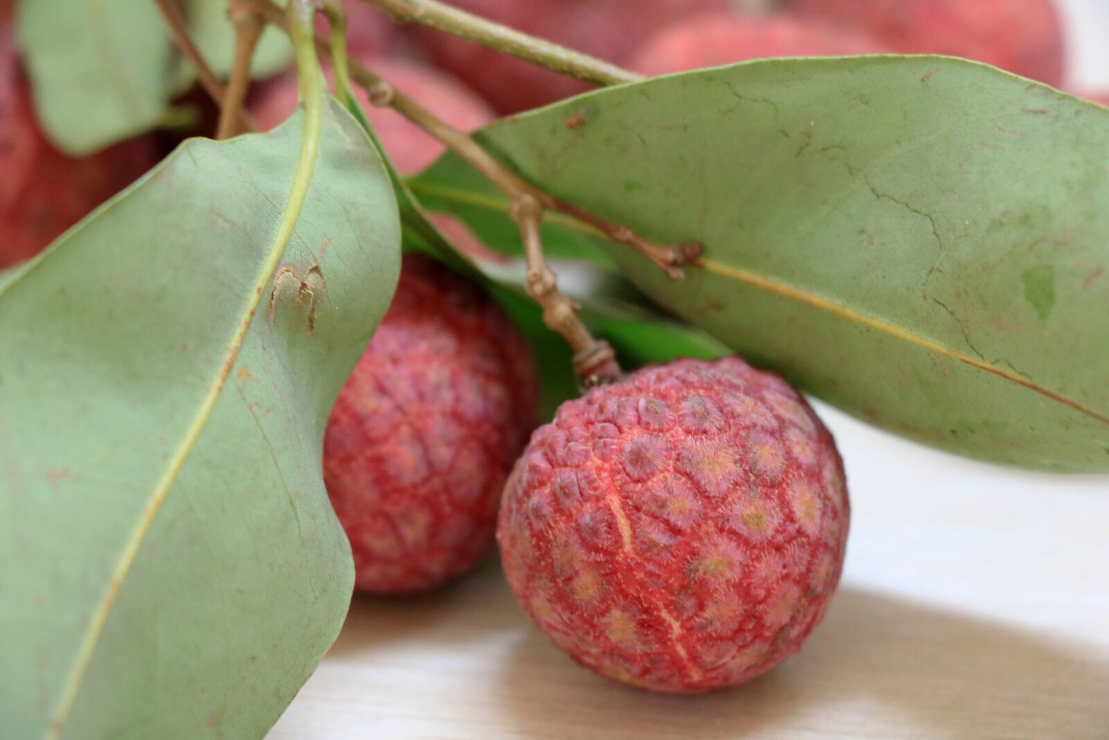 Canon EOS 760D (EOS Rebel T6s / EOS 8000D) sample photo. Fruit, lychee photography