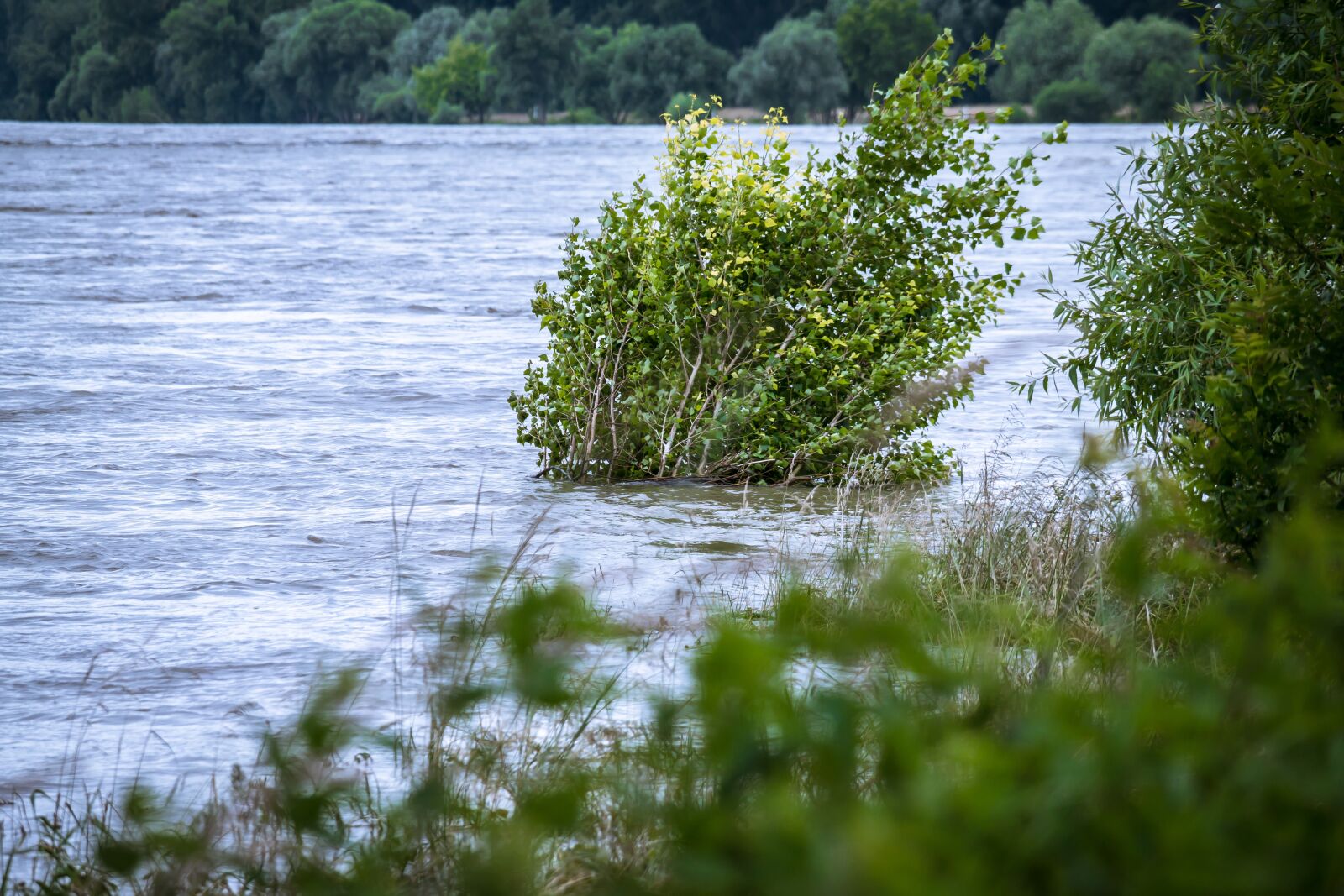 Samsung NX 50-200mm F4-5.6 ED OIS sample photo. High water, river, bush photography