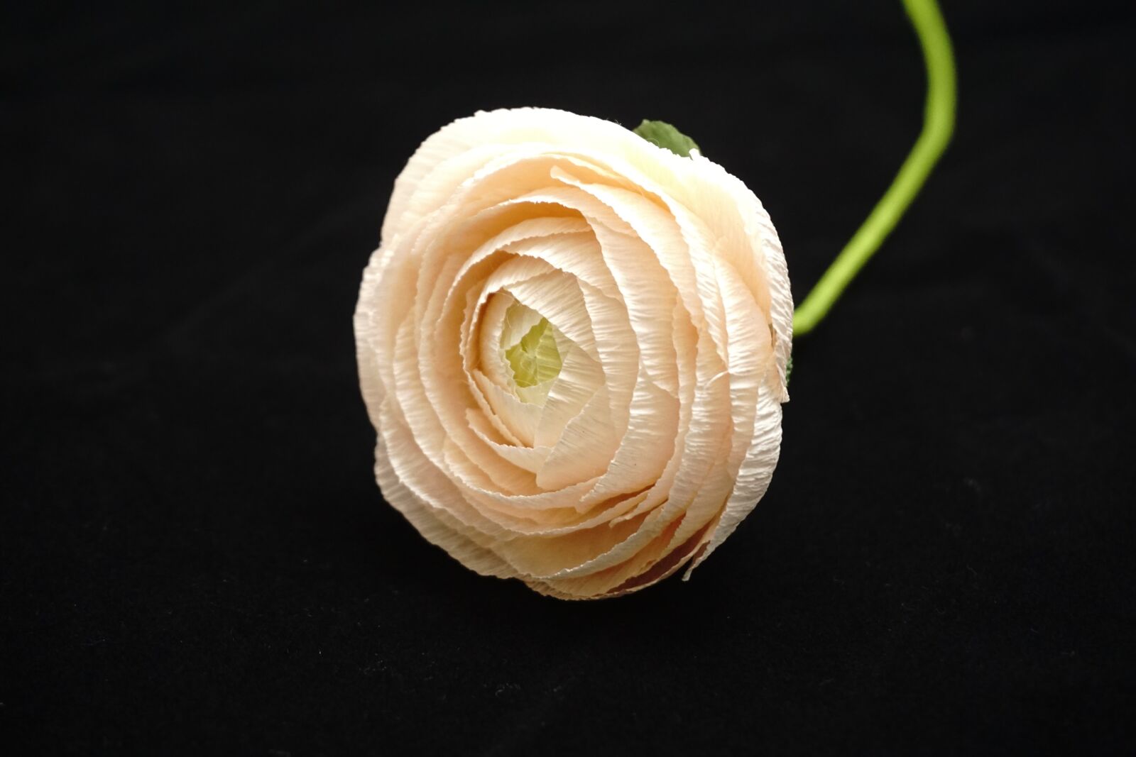 Sony E 16-50mm F3.5-5.6 PZ OSS sample photo. Paper flowers, crepe paper photography