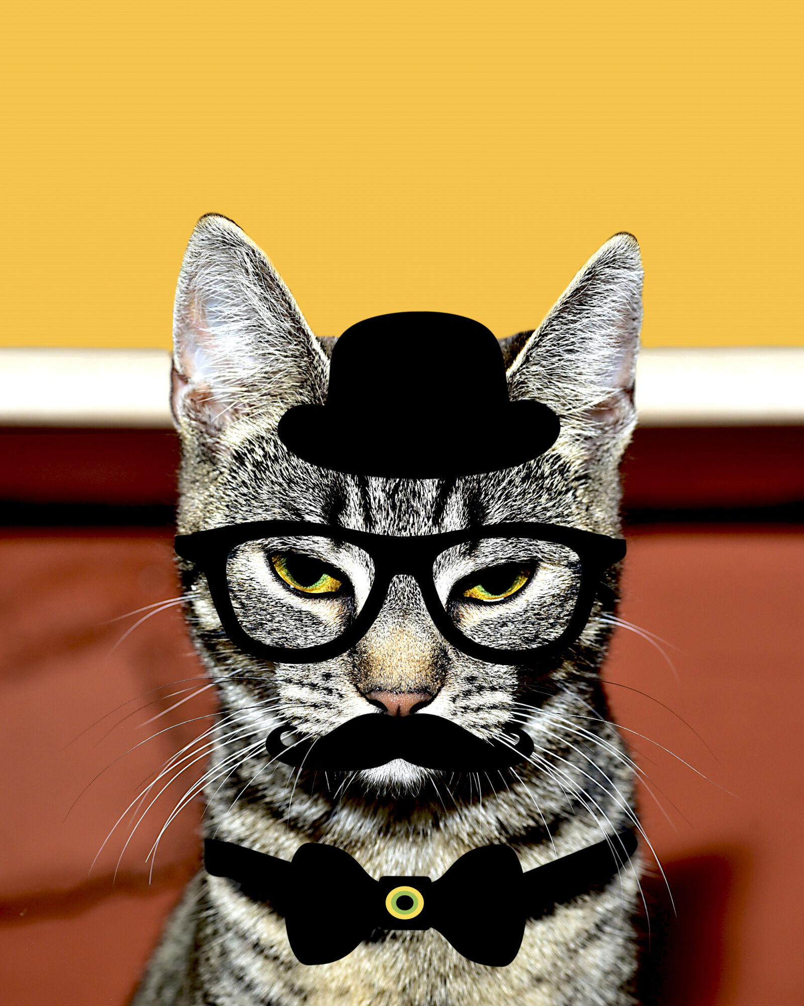 Nikon D750 sample photo. Black, hat, bow, tie photography