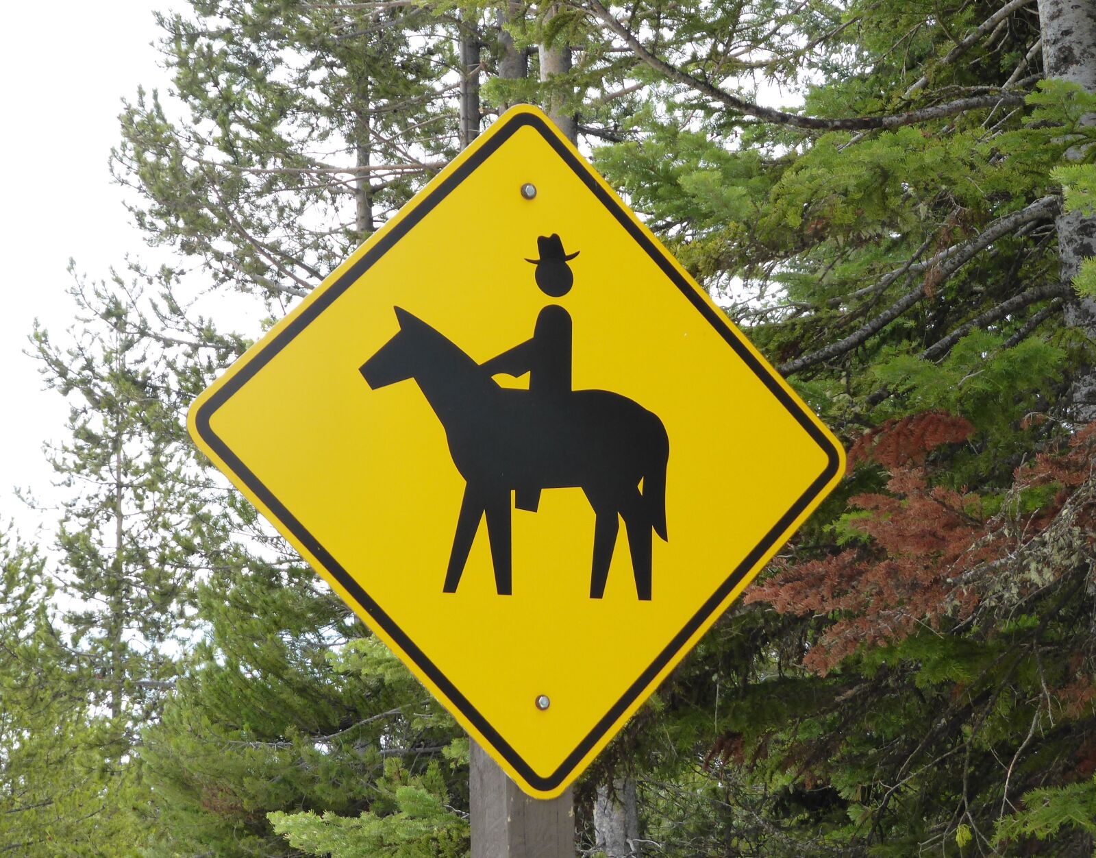 Panasonic Lumix DMC-ZS30 (Lumix DMC-TZ40) sample photo. Road sign, horseback riding photography