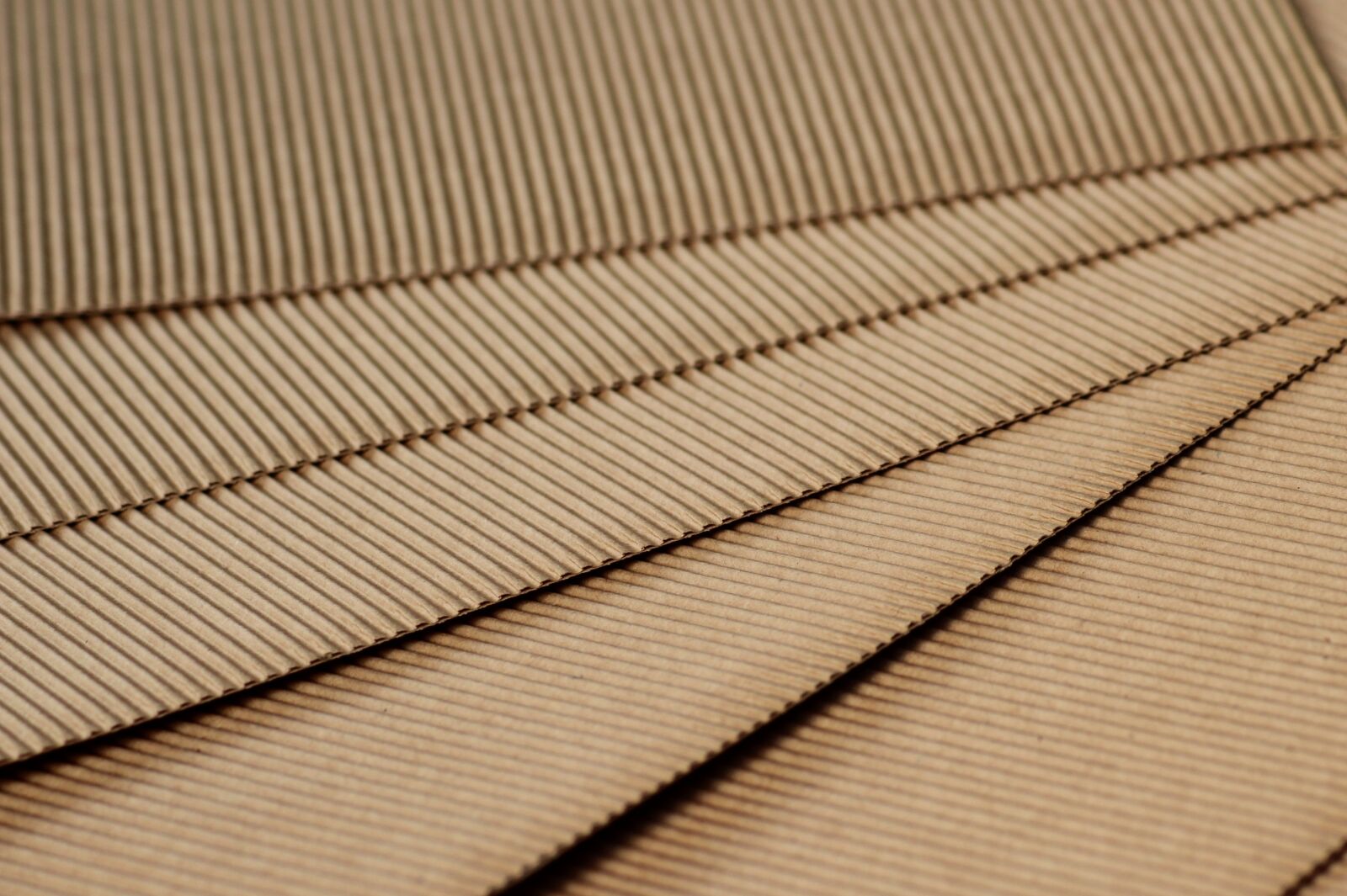 Canon EOS 1200D (EOS Rebel T5 / EOS Kiss X70 / EOS Hi) sample photo. Paper, pleated, cardboard photography