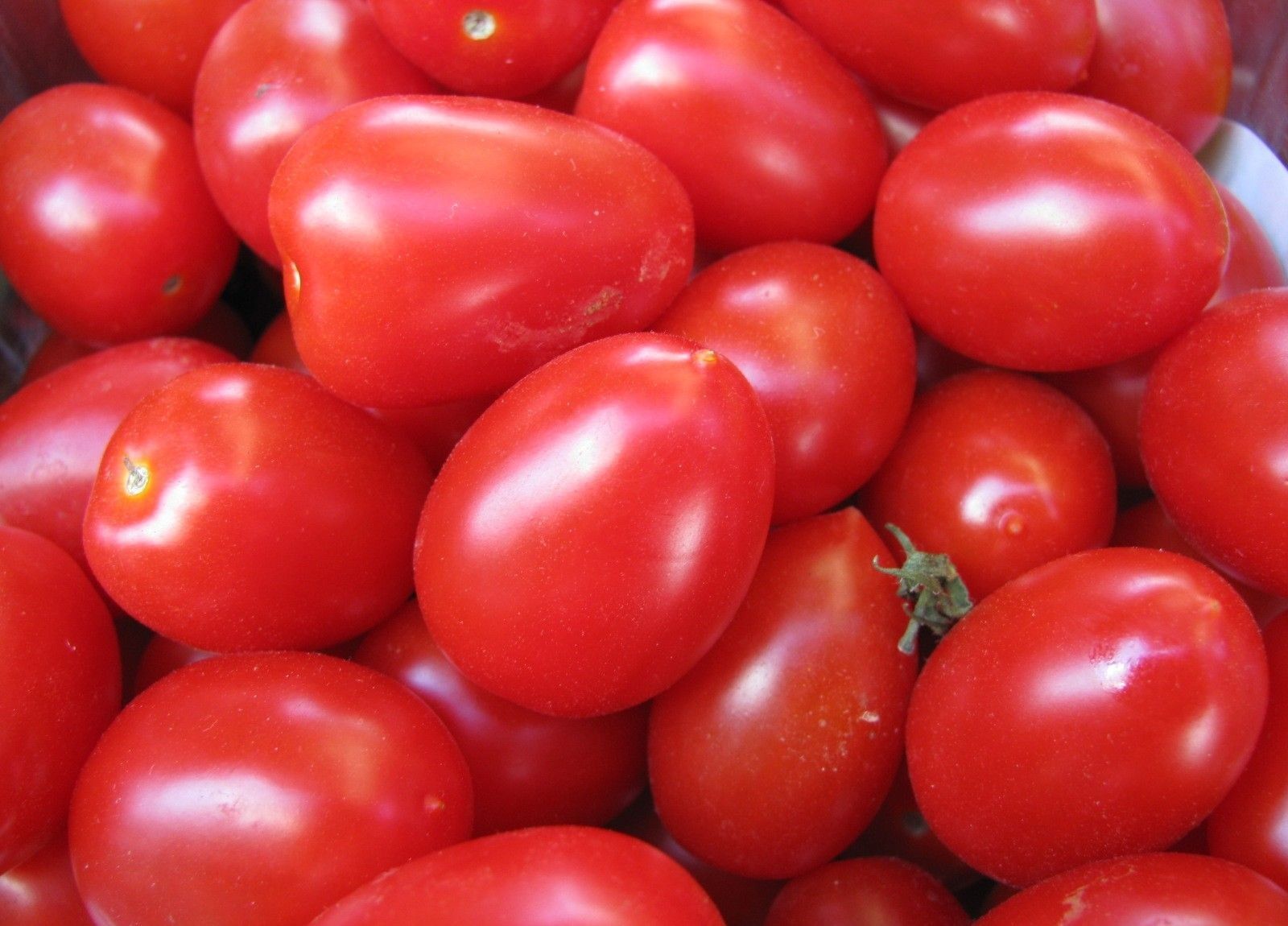 Canon POWERSHOT SX100 IS sample photo. Tomatoes, red, vegetables photography