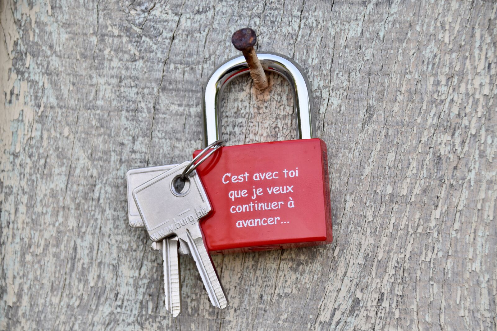 Nikon D5600 sample photo. Padlock, key, protection photography