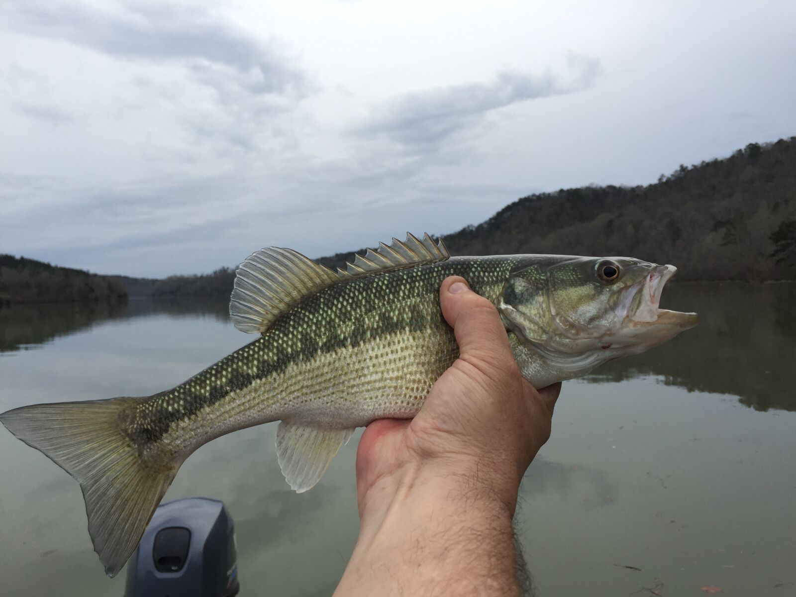 Apple iPhone 6 sample photo. Spotted bass, fishing, angling photography