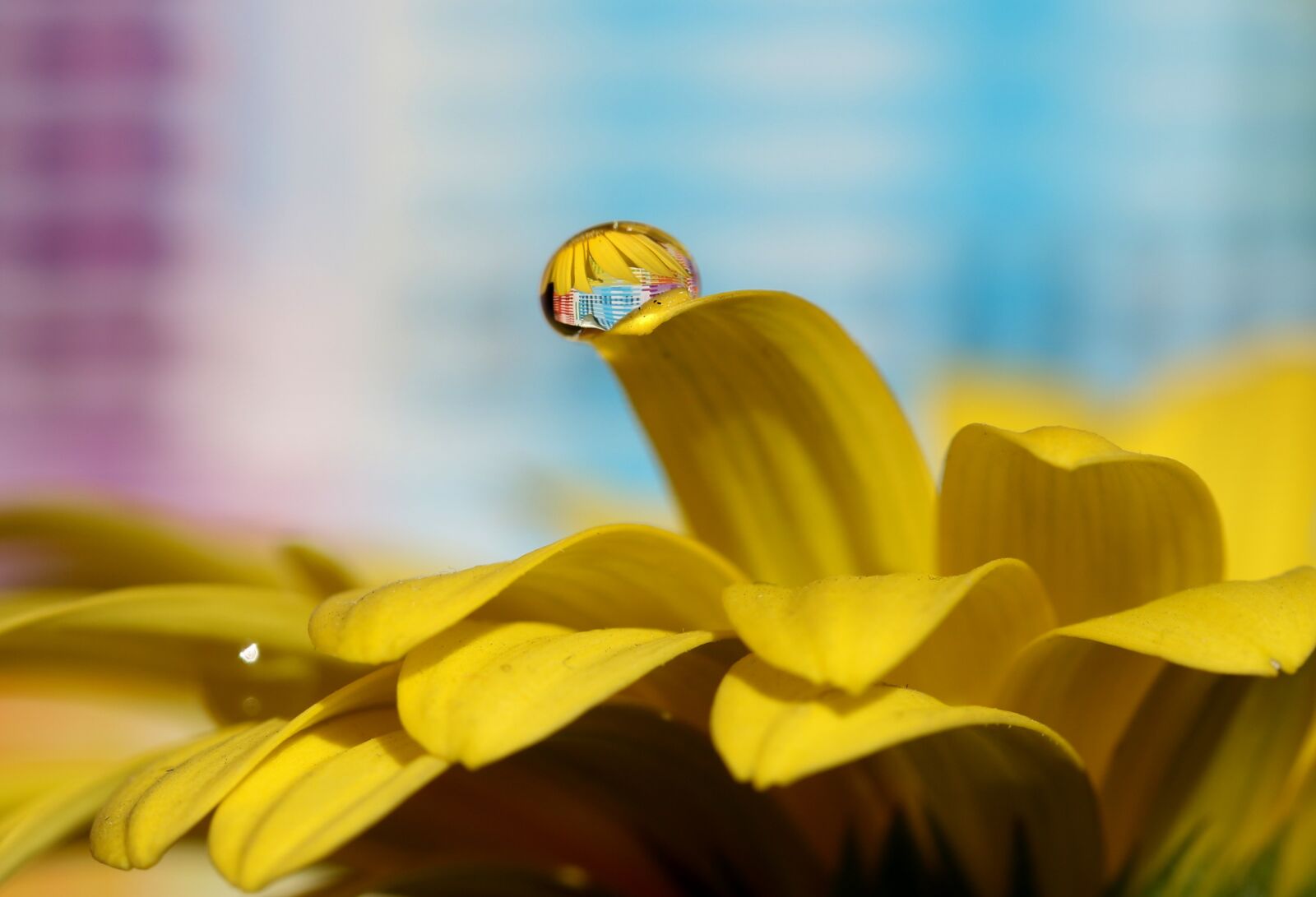 Canon EF-S 60mm F2.8 Macro USM sample photo. Drops, water, macro photography