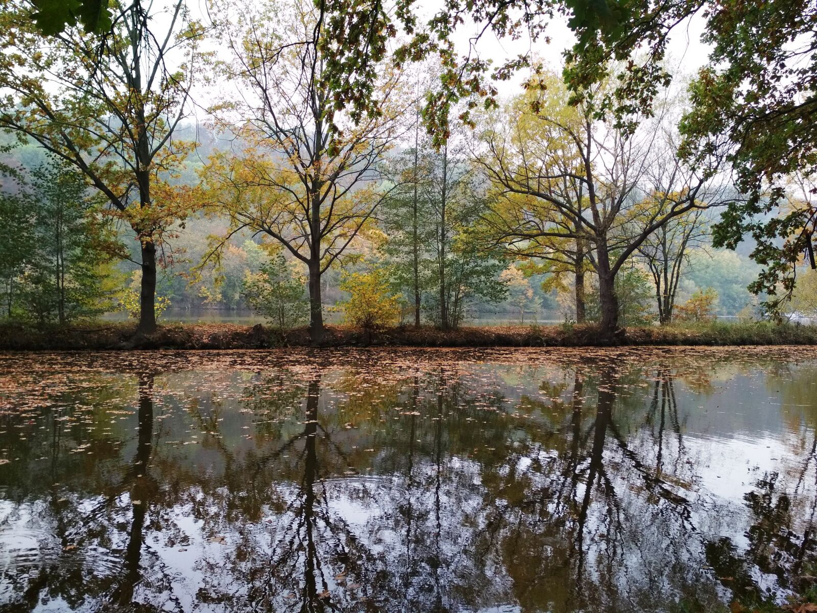 Xiaomi Redmi 4X sample photo. Nature, autumn, water photography