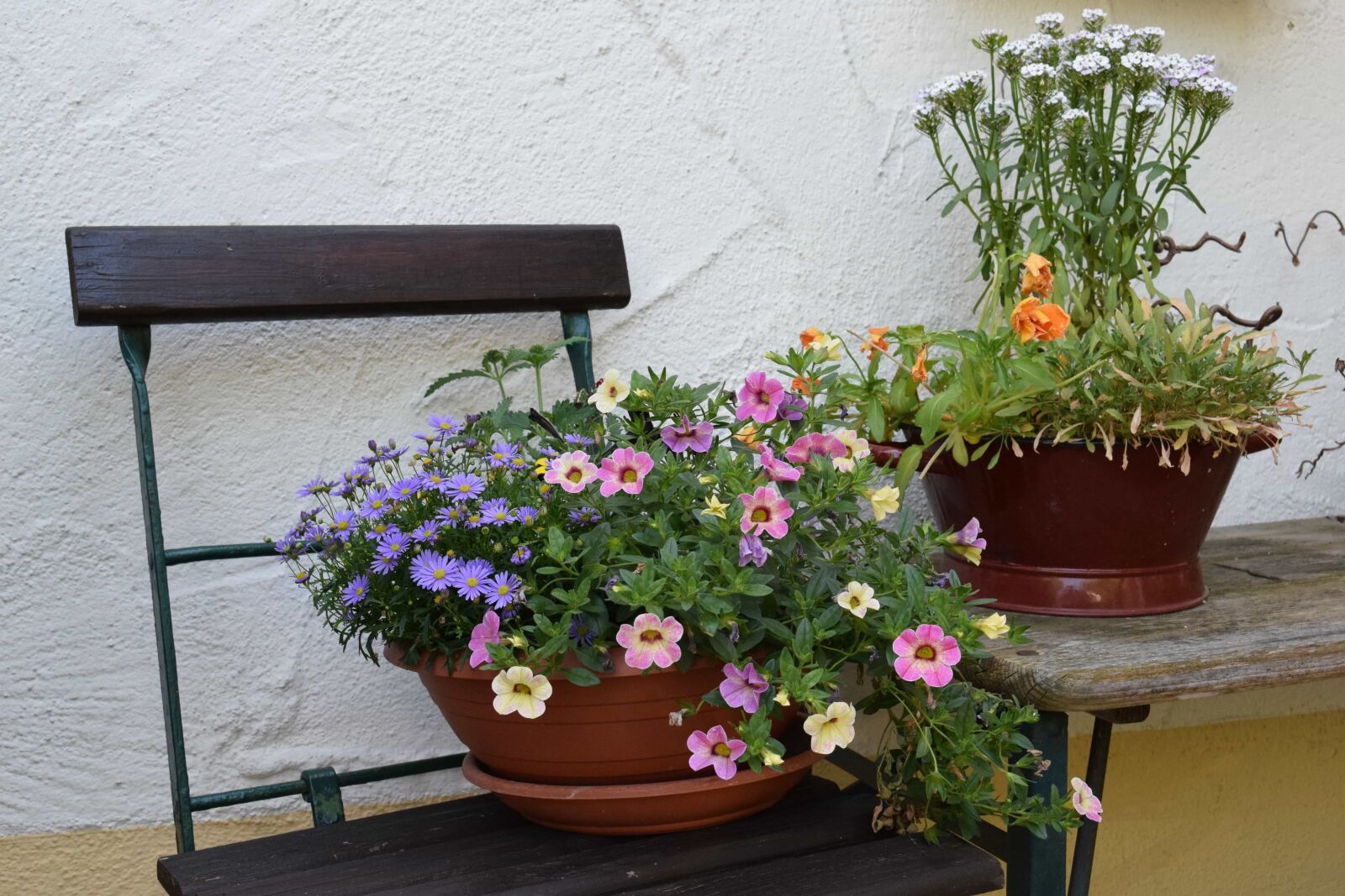 Nikon D3300 sample photo. Flower, vase, flowerpot, flora photography