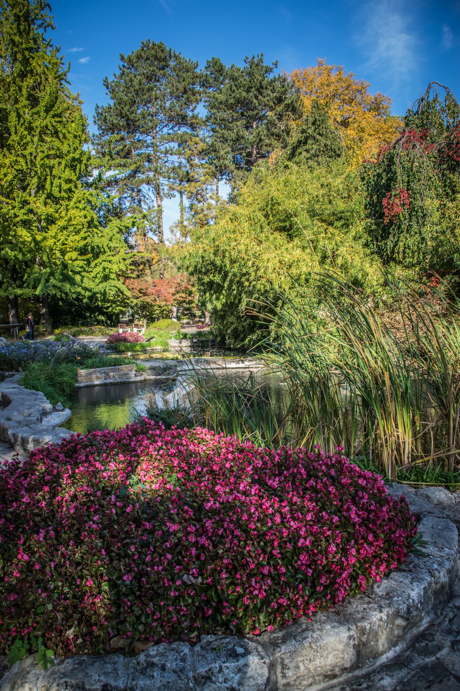 Nikon D5300 sample photo. Park, spa, garden photography