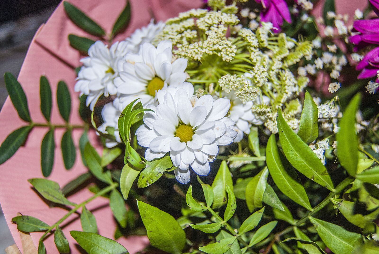 Nikon D40X sample photo. Bouquet, plant, decoration photography