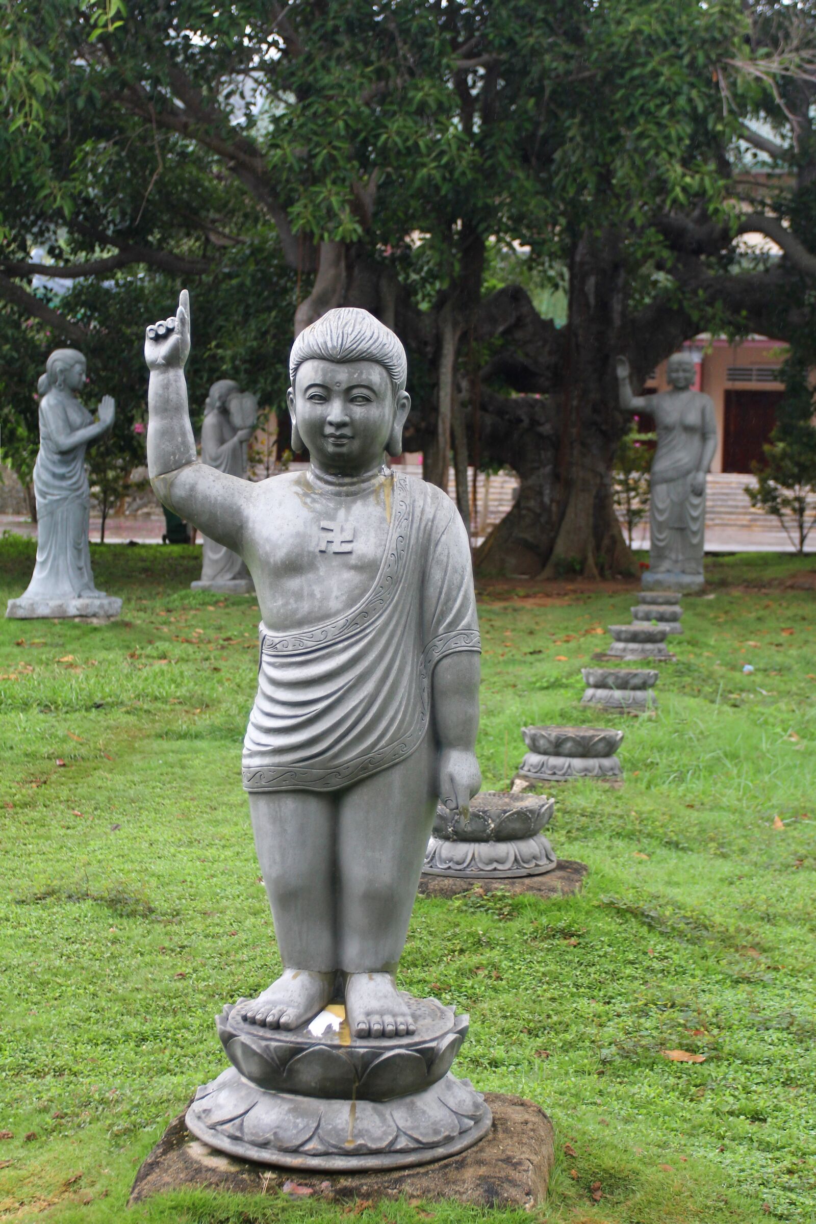 Canon EOS 60D sample photo. Buddha, birthday, birth photography