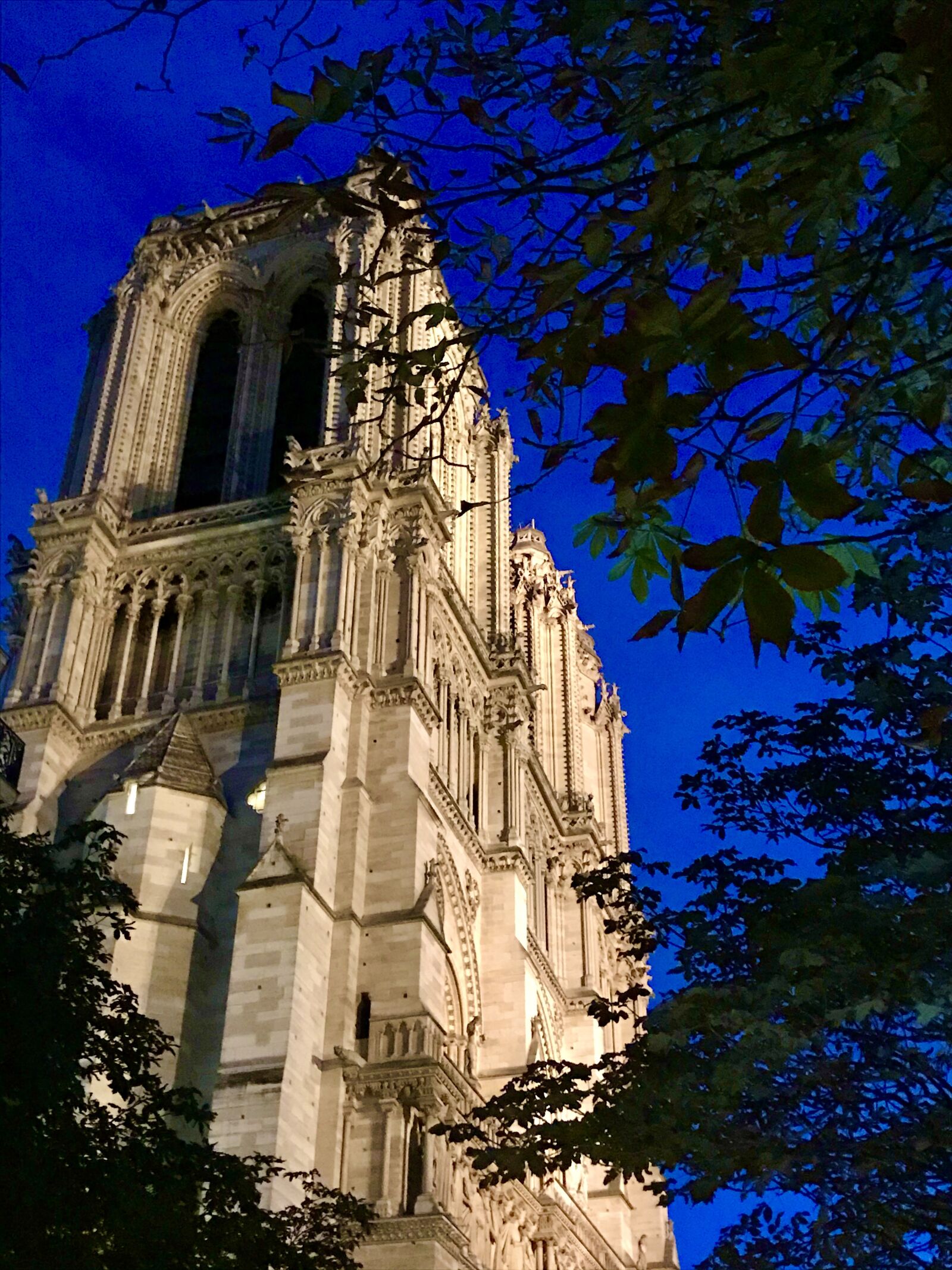 iPhone 7 back camera 3.99mm f/1.8 sample photo. Notre dame, twilight, church photography