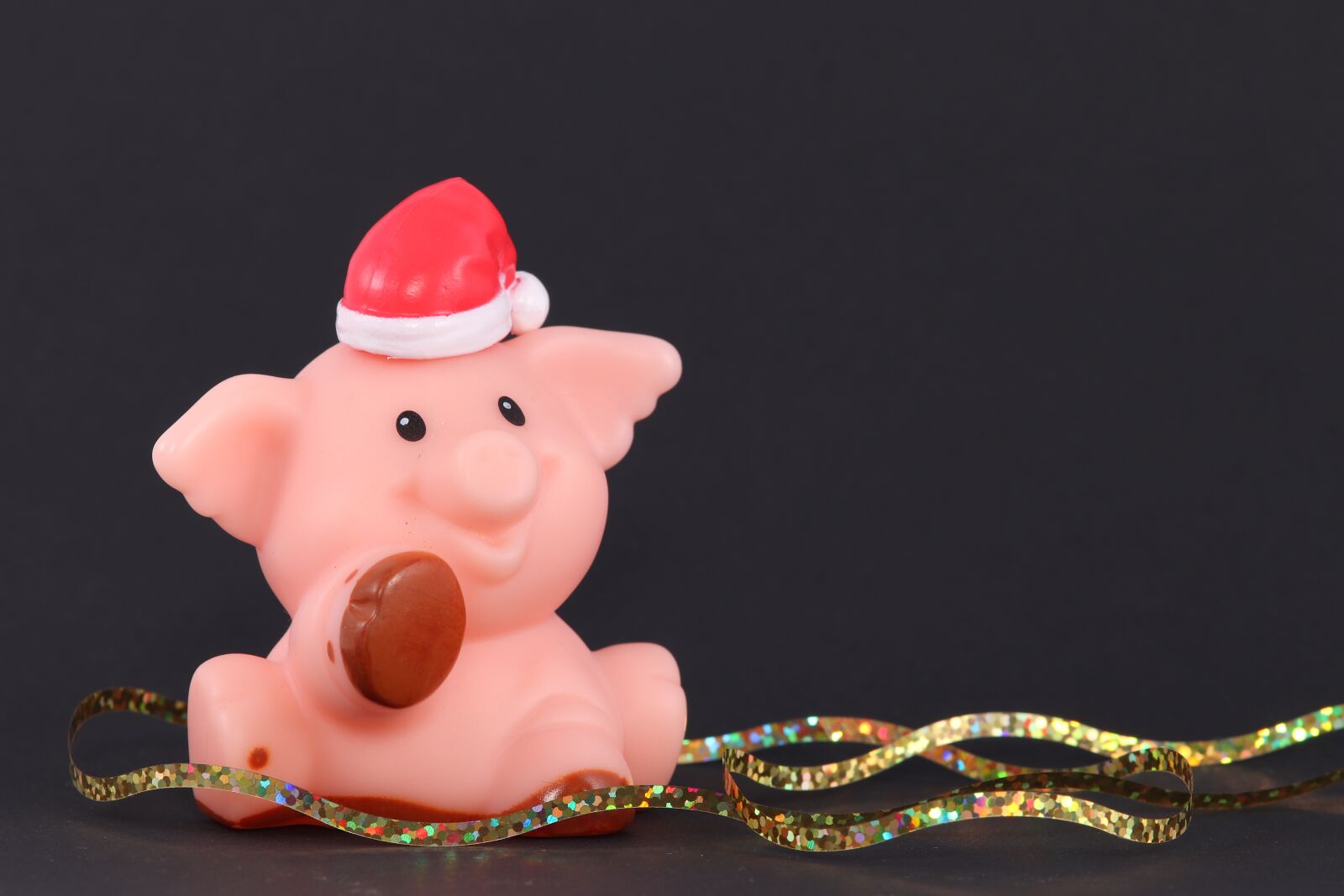 Canon EOS 800D (EOS Rebel T7i / EOS Kiss X9i) sample photo. Christmas pig, santa hat photography