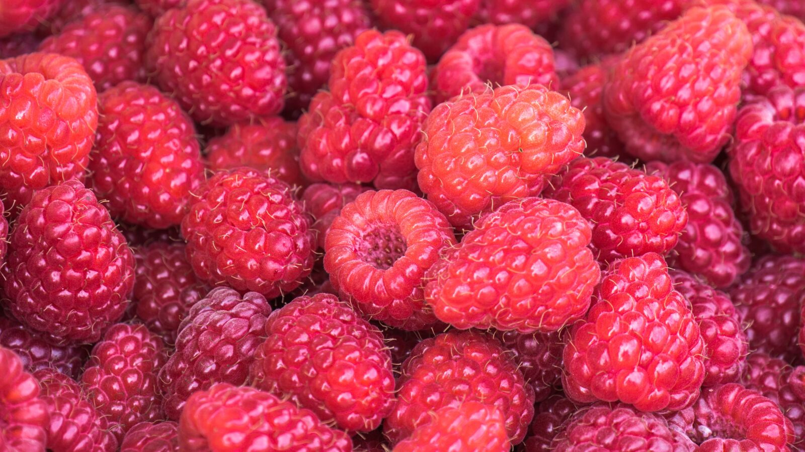 Panasonic DMC-G81 sample photo. Raspberries, berries, ripe photography