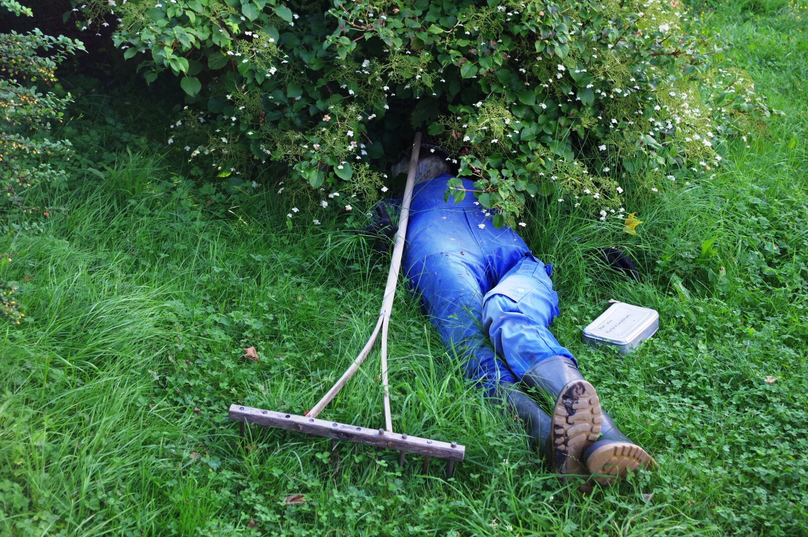 Pentax K-3 sample photo. Break, nap, sleep photography