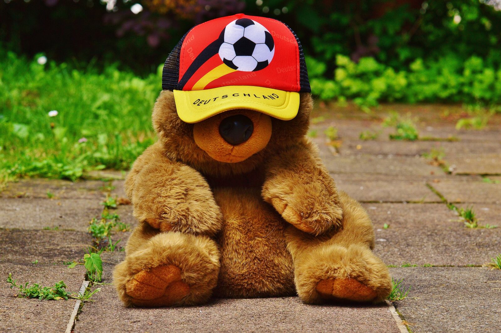 Nikon D3200 sample photo. European championship, football, 2016 photography