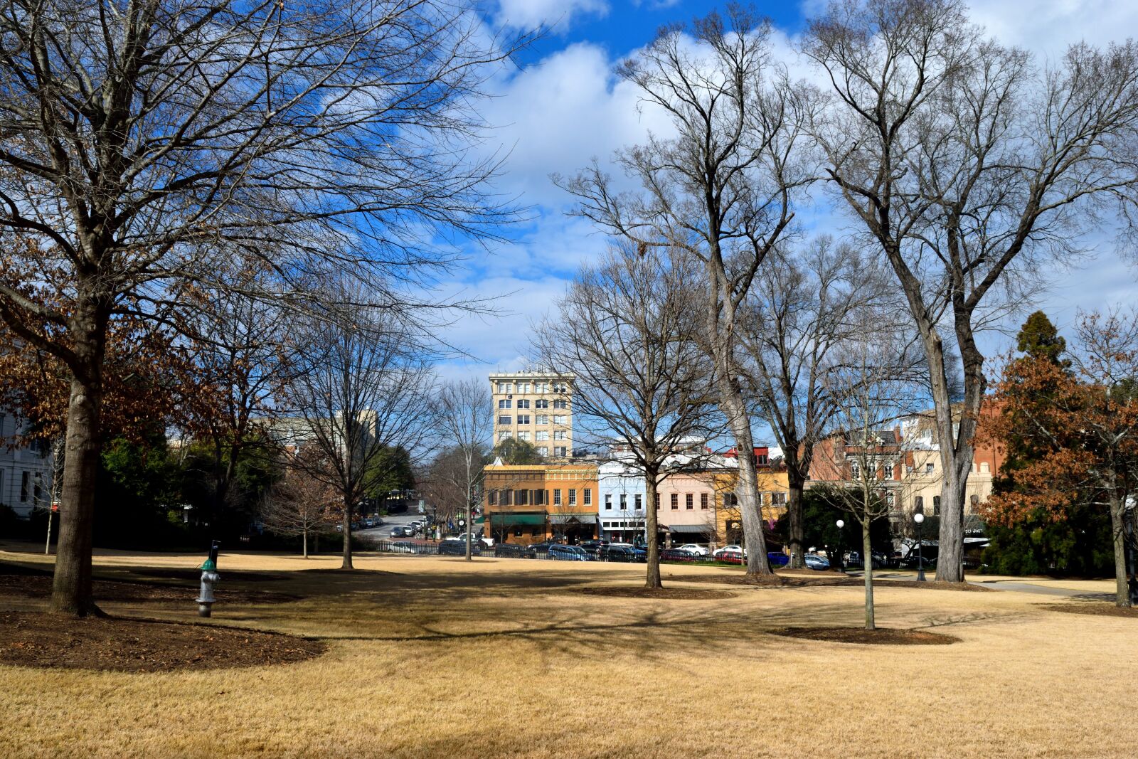 Nikon D3300 sample photo. University of georgia, campus photography