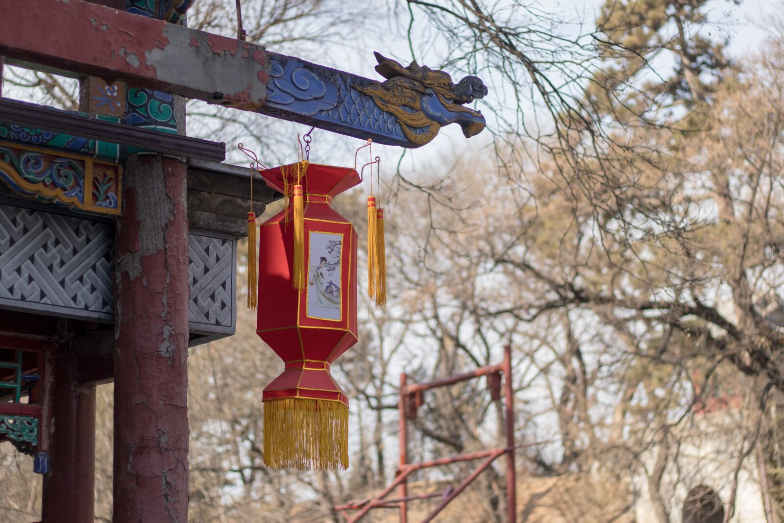 Canon EF 50mm F1.8 STM sample photo. China, lanterns, red photography