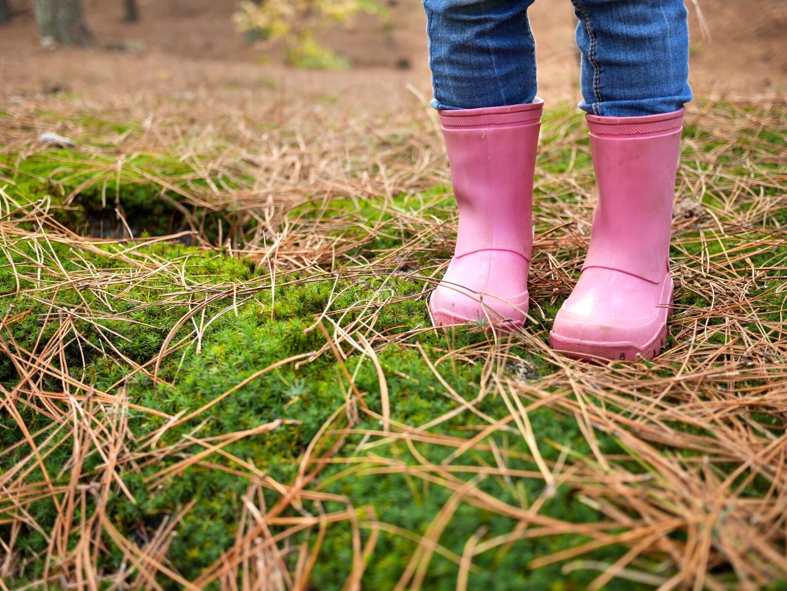 Panasonic Lumix DMC-GX7 sample photo. Autumn, boots, forest photography