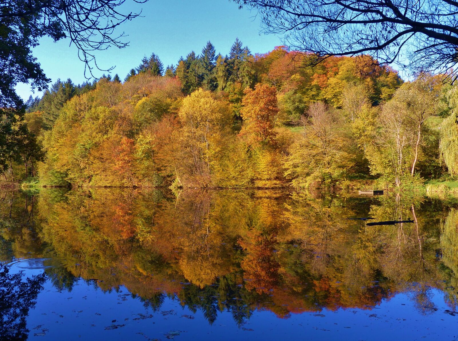 Panasonic Lumix DMC-FZ200 sample photo. Mirror image, fall foliage photography