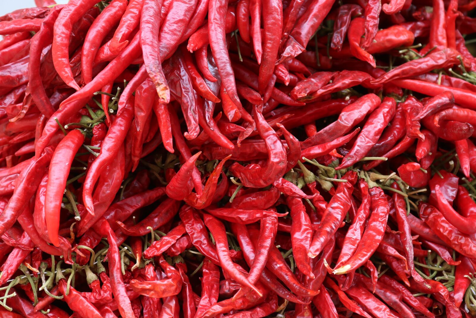 Canon EOS 750D (EOS Rebel T6i / EOS Kiss X8i) sample photo. Chili, red, sharp photography