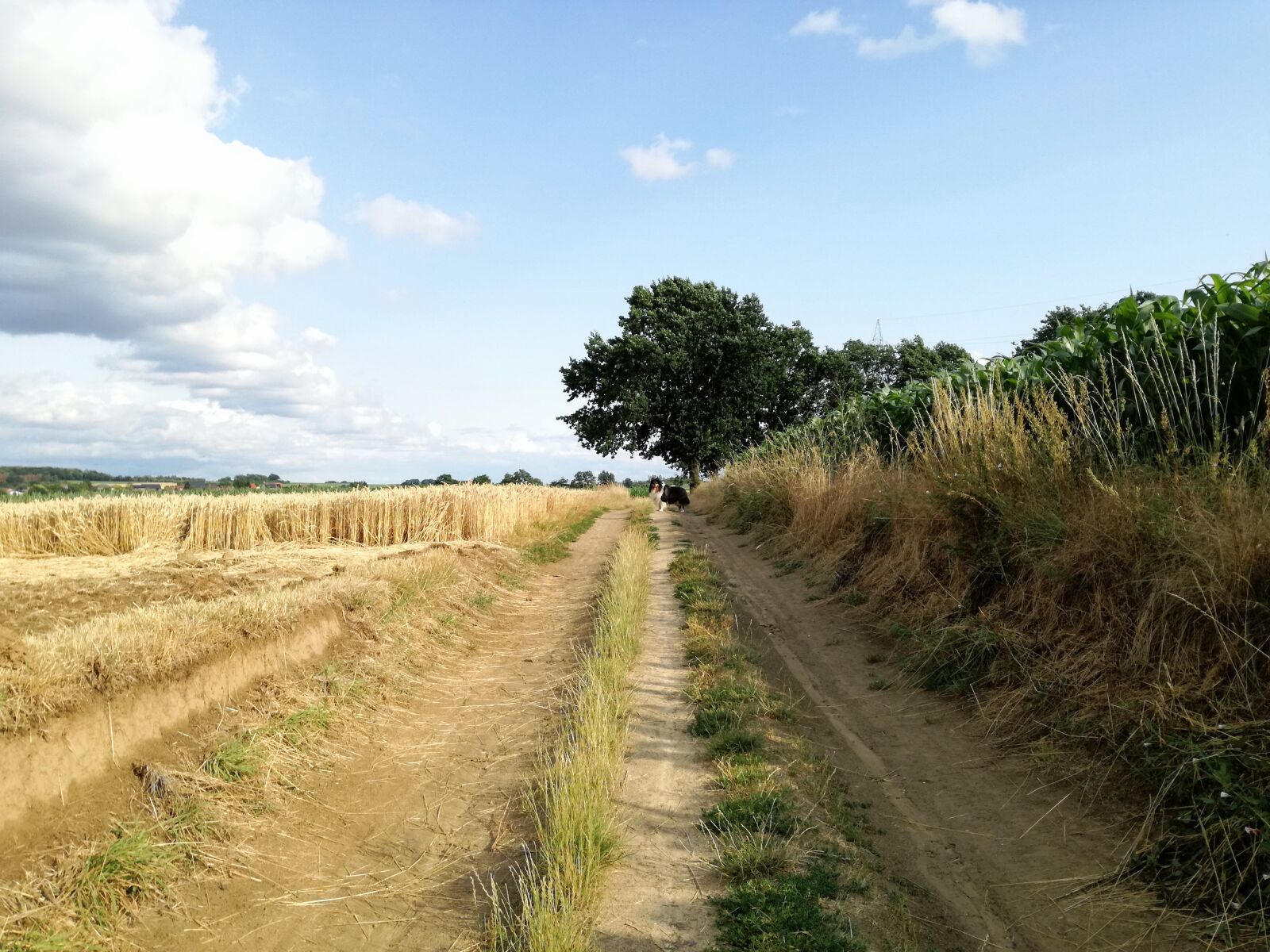 HUAWEI P9 LITE sample photo. Nature, landscape, clouds photography