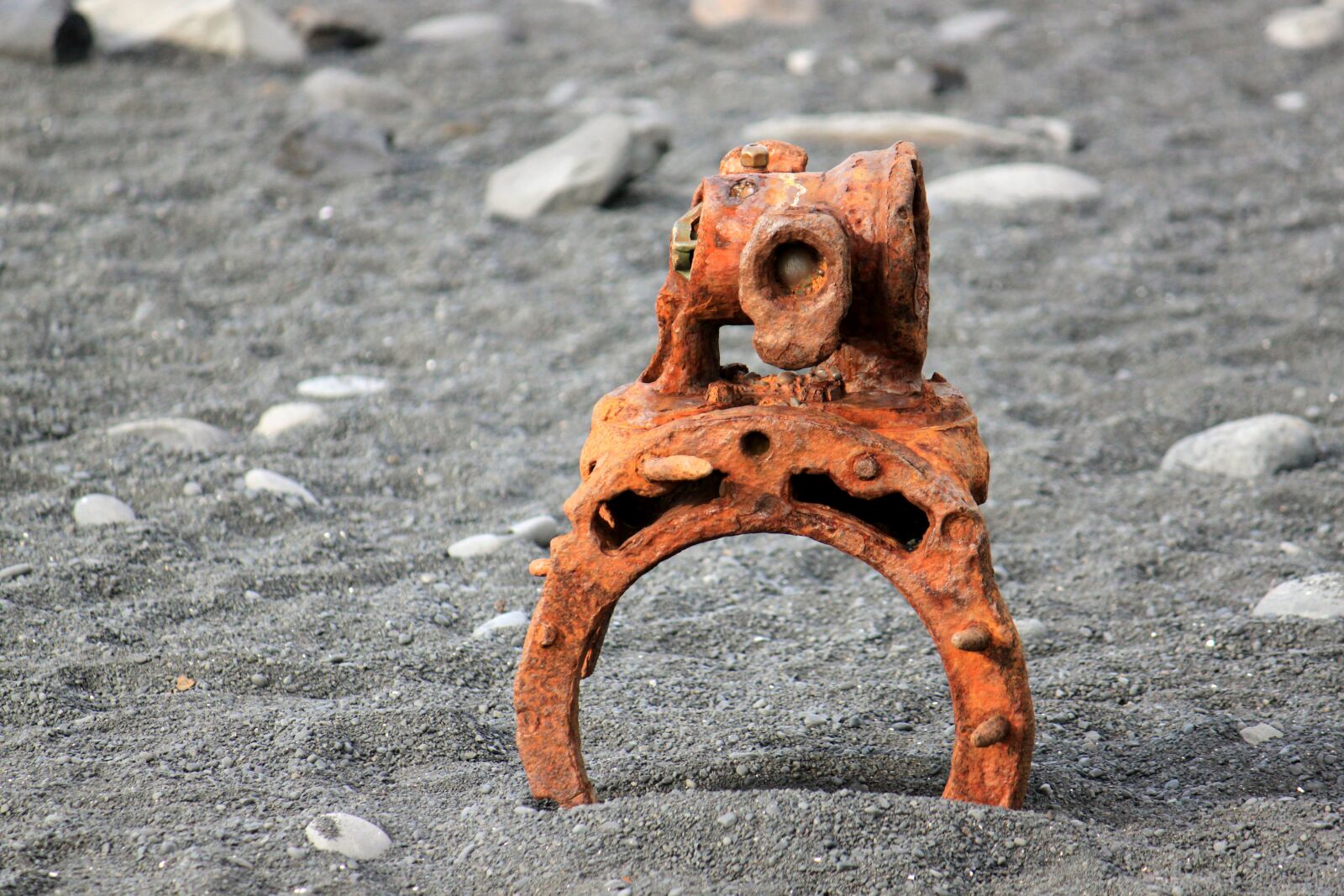 Canon EOS 500D (EOS Rebel T1i / EOS Kiss X3) sample photo. Wreck, rust, beach photography