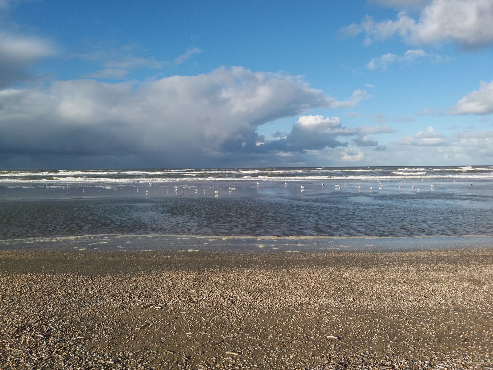 Samsung Galaxy J5 sample photo. Netherlands, beach, north sea photography