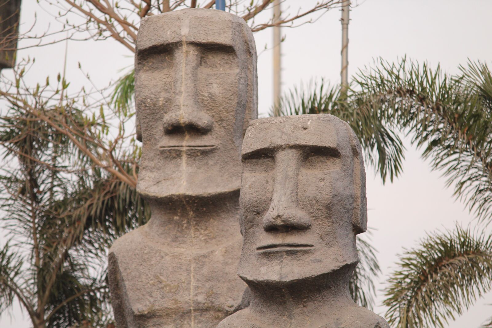 Canon EOS 1300D (EOS Rebel T6 / EOS Kiss X80) sample photo. Face, statue, seven wonders photography