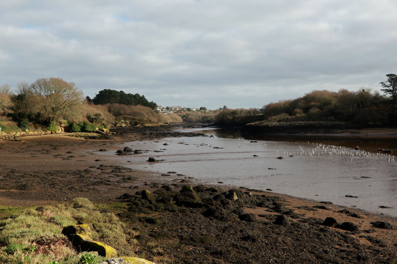 Canon PowerShot G1 X Mark III sample photo. Nature, brittany, river photography