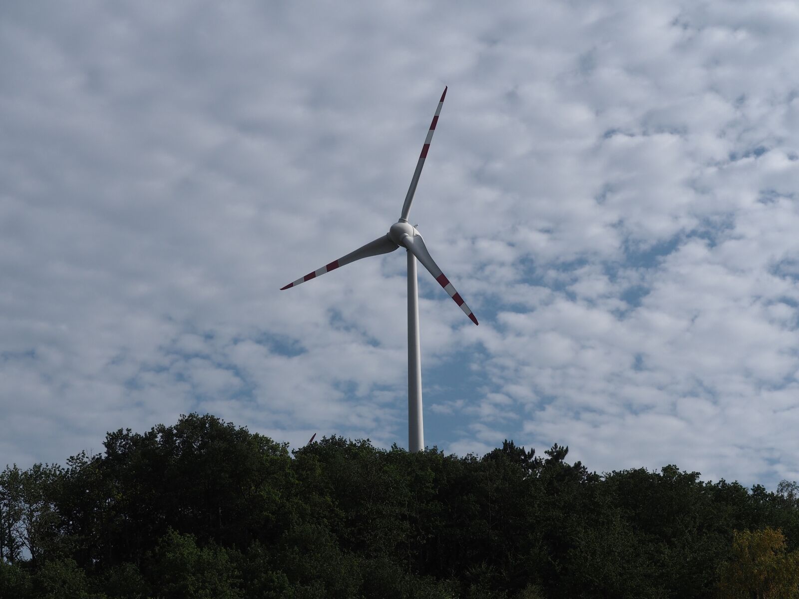 Olympus PEN E-PL7 sample photo. Pinwheel, sky, forest photography